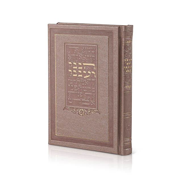 Choneni V'Aneni - Techinos Medium Leatherette p.u image 0