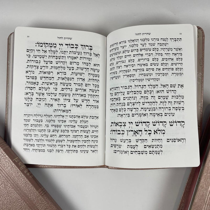 Siddur for Weekdays Leatherette  Flexi