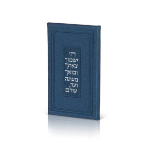 Tefillat HaDerech - The Traveler’s Prayer image 0
