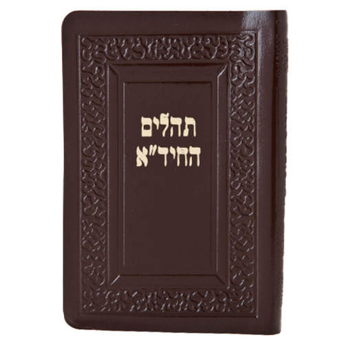 Tehillim of the Chida image 0