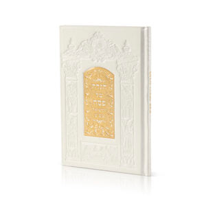 Haggadah for pesach Venezia Genuine Leather image 1