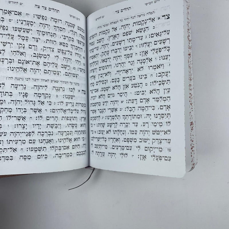 Tehillim Big Letters Leather - M