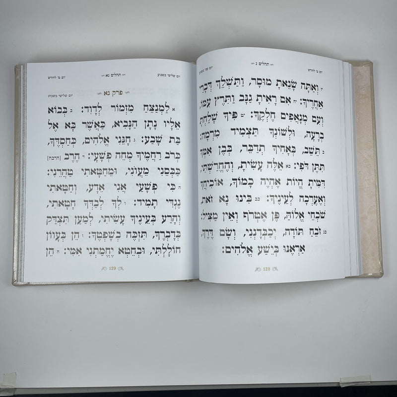 Tehillim with gold plaque XL