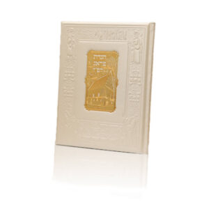 Haggadah for pesach Prague Genuine Leather image 1